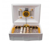 Инкубатор автоматический Теплуша Люкс 72 ИБ 220/50 ТАВ