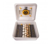 Инкубатор с механическим переворотом Теплуша Greeny 88 ТМВ 12/50