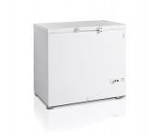 Ларь морозильный Tefcold FR305 SL