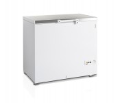Ларь морозильный Tefcold FR305S SL