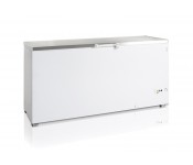 Ларь морозильный Tefcold FR605S SL