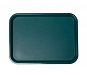 Поднос прямоугольный 45,6х35,6 см FoRest 594183
