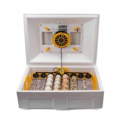 Инкубатор автоматический Теплуша Люкс 72 ИБ 220/50 ТАВ