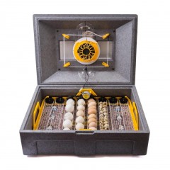 Інкубатор автоматичний Теплуша Euro 88 ТАВ 220/50