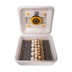 Інкубатор автоматичний Теплуша Euro 88 ТАВ 220/50