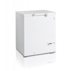 Ларь морозильный Tefcold FR205 SL
