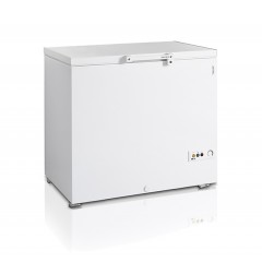 Ларь морозильный Tefcold FR305 SL