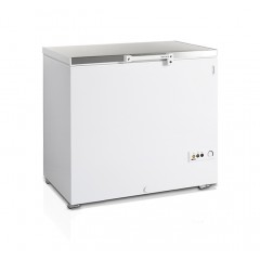 Ларь морозильный Tefcold FR305S SL