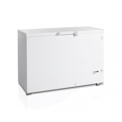 Ларь морозильный Tefcold FR405 SL