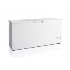 Ларь морозильный Tefcold FR605 SL