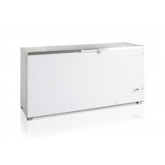 Ларь морозильный Tefcold FR605S SL