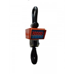 Весы крановые Днепровес OCS-30t-XZA