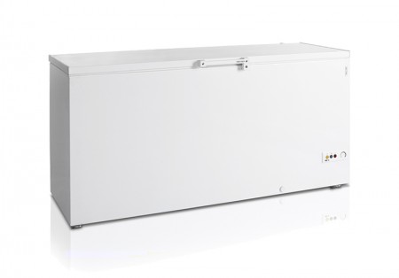 Ларь морозильный Tefcold FR605 SL