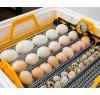 Домашний Инкубатор Теплуша Greeny 88 ЛАВ 220/50 Люкс на 54 яйца