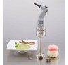 Ручной миксер для ресторана Robot Coupe MicroMix