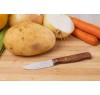 Нож для чистки овощей Arcos 100101