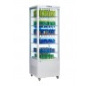 Шкаф холодильный FROSTY RT280L White