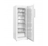 Морозильный шкаф SNAIGE CF27SM-T1000FQ