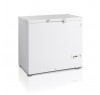 Ларь морозильный Tefcold FR305 SL