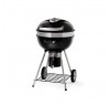 Угольный гриль Napoleon Rodeo PRO