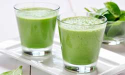 Блендери професійні - фото 1