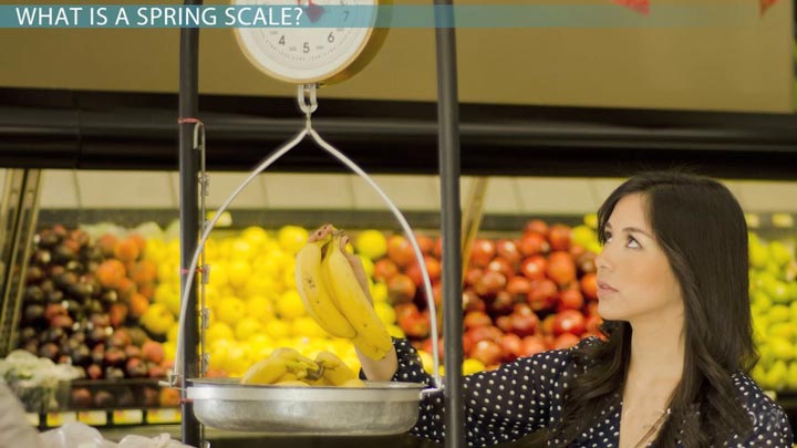 Весы подвесные Camry ВТД-ОСС